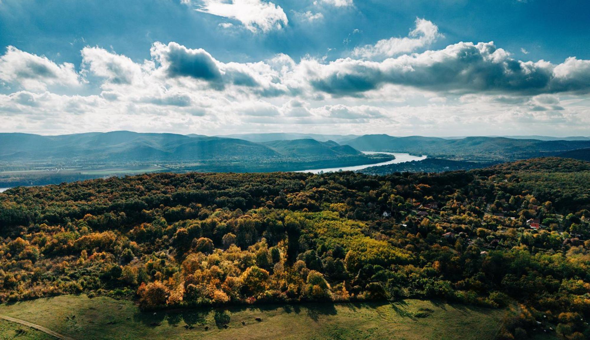 Zama Forest * Kismaros
