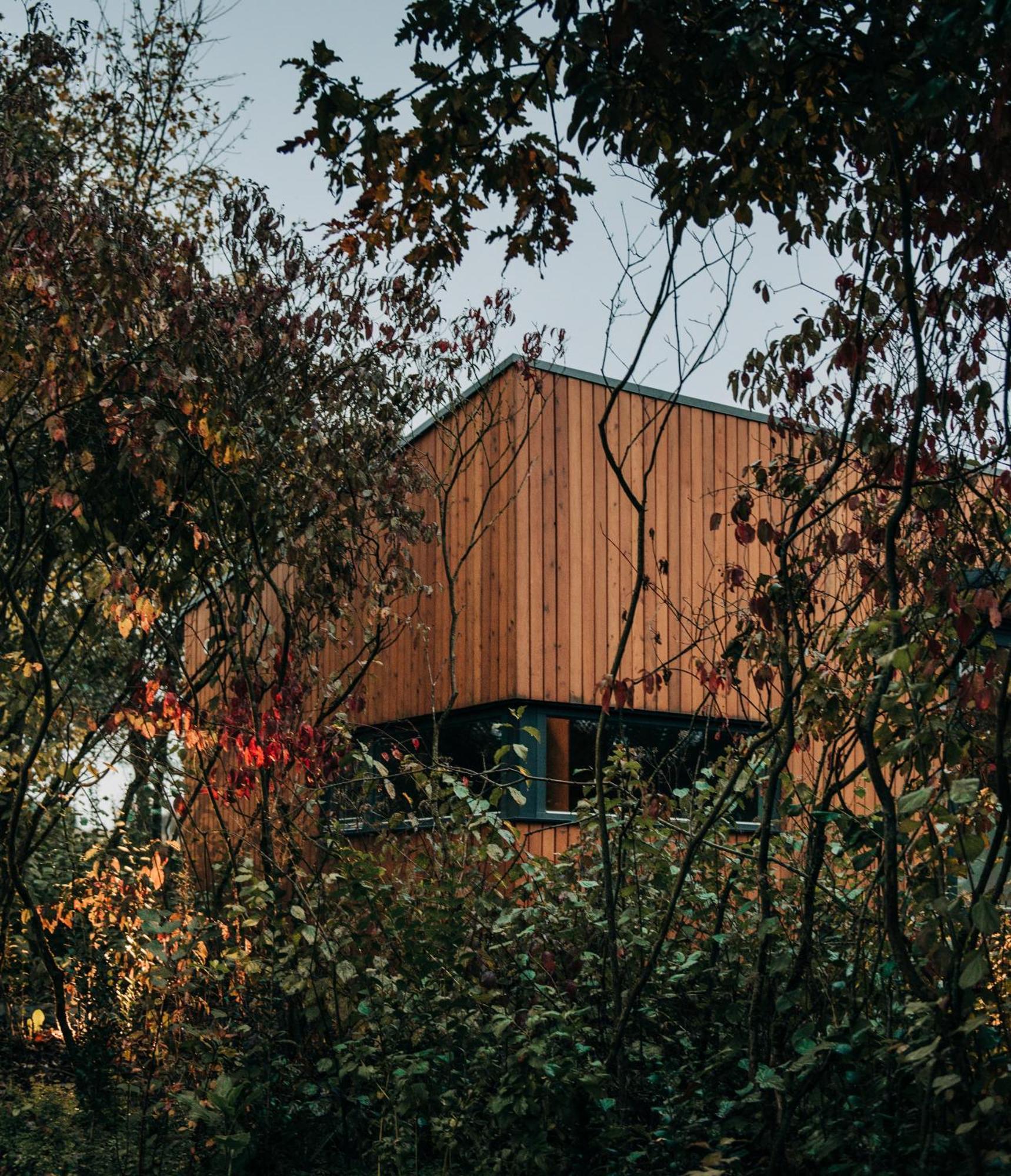 Villa Zama Forest